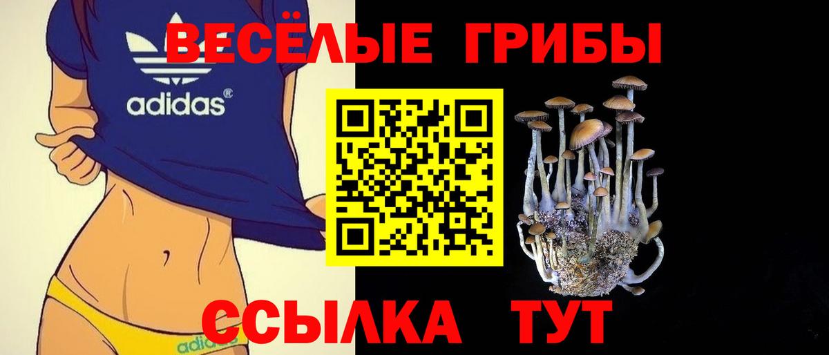 где найти   Вход с VPN  Советский  Псилоцибиновые грибы ЛСД 